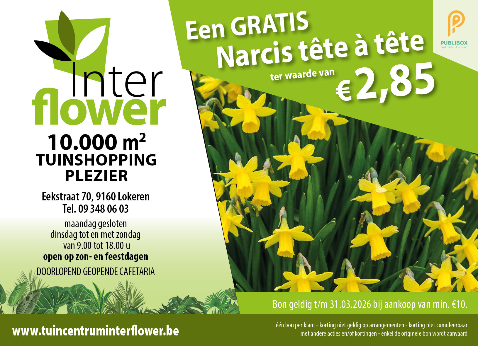 Tuincentrum Interflower Lokeren